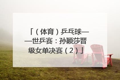 （体育）乒乓球——世乒赛：孙颖莎晋级女单决赛（2）