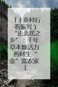 （乡村行·看振兴）“正北芪之乡”：千年草本焕活力 药材生“金”富农家
