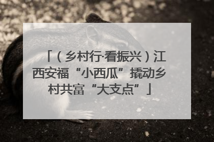 （乡村行·看振兴）江西安福“小西瓜”撬动乡村共富“大支点”