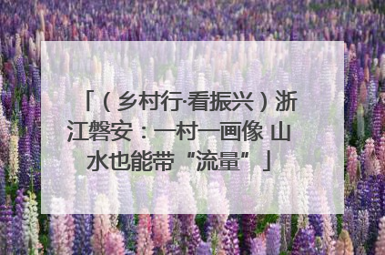 （乡村行·看振兴）浙江磐安：一村一画像 山水也能带“流量”