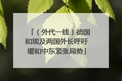 （外代一线）德国和埃及两国外长呼吁缓和中东紧张局势