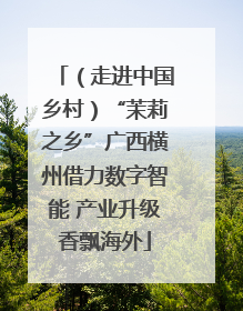 （走进中国乡村）“茉莉之乡”广西横州借力数字智能 产业升级香飘海外
