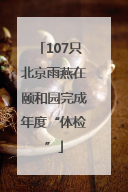 107只北京雨燕在颐和园完成年度“体检”