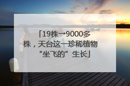 19株→9000多株，天台这一珍稀植物“坐飞的”生长