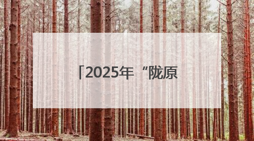 2025年“陇原巧手”数字技能提升训练营正式启动