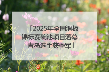 2025年全国滑板锦标赛碗池项目落幕 青岛选手获季军