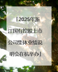 2025年浙江国有控股上市公司集体业绩说明会在杭举办