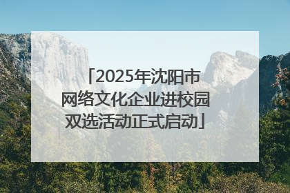 2025年沈阳市网络文化企业进校园双选活动正式启动