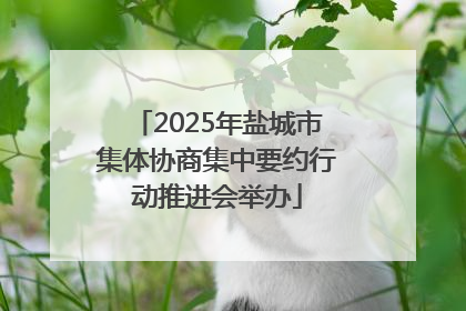 2025年盐城市集体协商集中要约行动推进会举办