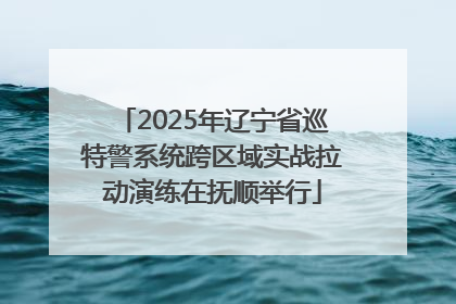 2025年辽宁省巡特警系统跨区域实战拉动演练在抚顺举行