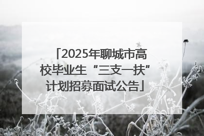 2025年聊城市高校毕业生“三支一扶”计划招募面试公告