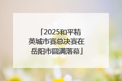 2025和平精英城市赛总决赛在岳阳市圆满落幕