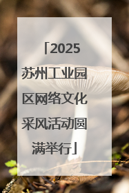 2025苏州工业园区网络文化采风活动圆满举行