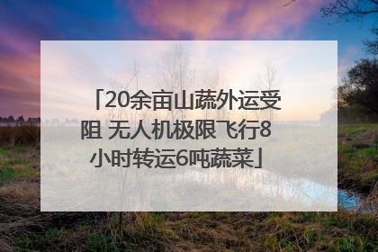 20余亩山蔬外运受阻 无人机极限飞行8小时转运6吨蔬菜
