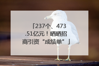 237个、473.51亿元！晒晒招商引资“成绩单”