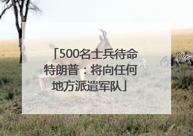 500名士兵待命 特朗普：将向任何地方派遣军队