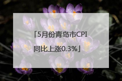 5月份青岛市CPI同比上涨0.3%