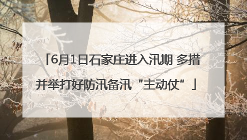 6月1日石家庄进入汛期 多措并举打好防汛备汛“主动仗”