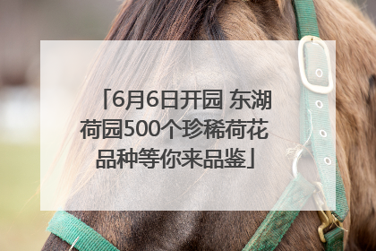 6月6日开园 东湖荷园500个珍稀荷花品种等你来品鉴