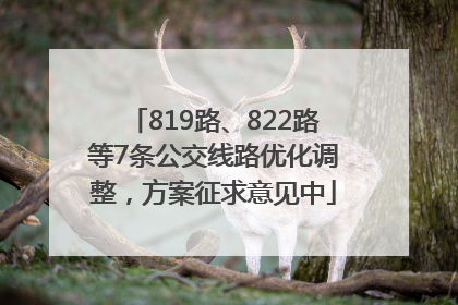 819路、822路等7条公交线路优化调整，方案征求意见中
