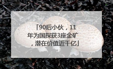 90后小伙，11年为国探获3座金矿，潜在价值近千亿