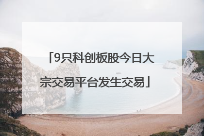 9只科创板股今日大宗交易平台发生交易