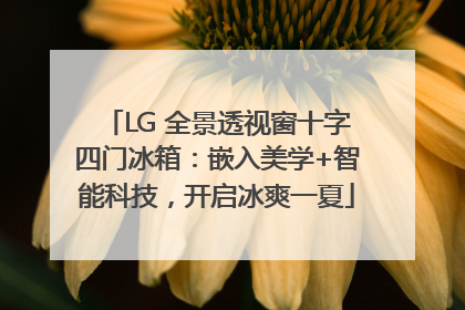 LG 全景透视窗十字四门冰箱：嵌入美学+智能科技，开启冰爽一夏