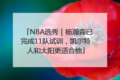 NBA选秀｜杨瀚森已完成11队试训，凯尔特人和太阳更适合他